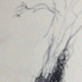 A pen and water drawing of a tree branch